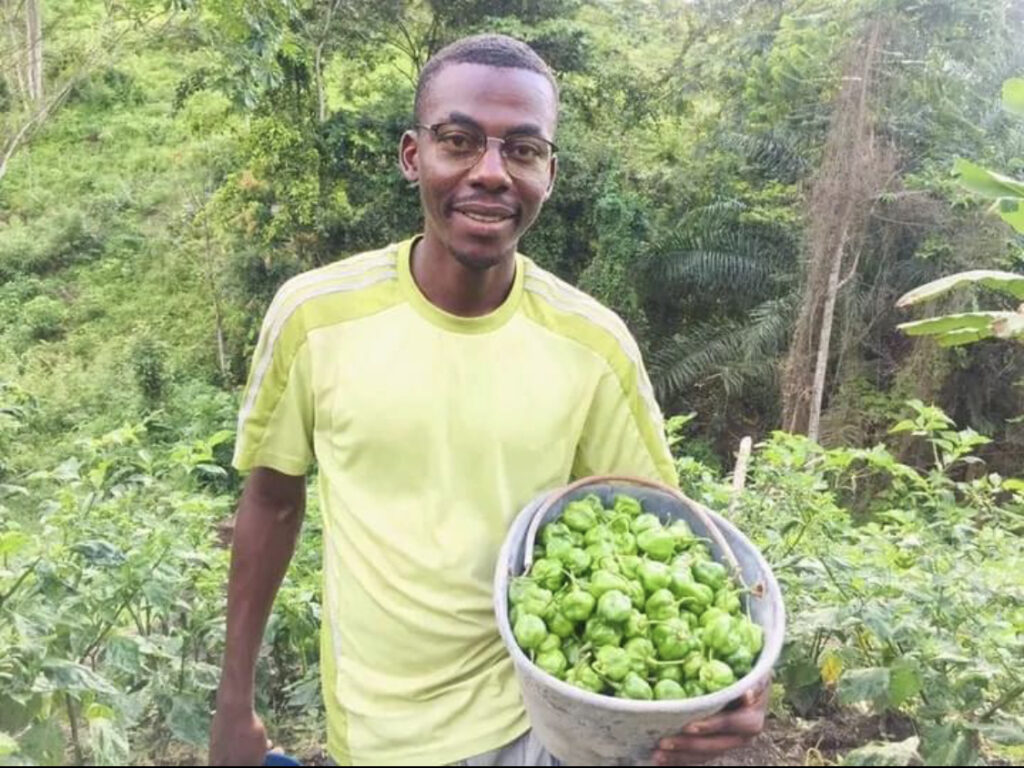 Cultivateur - Ben Fredari