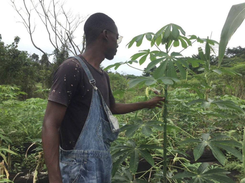 Cultivateur - Ben Fredari