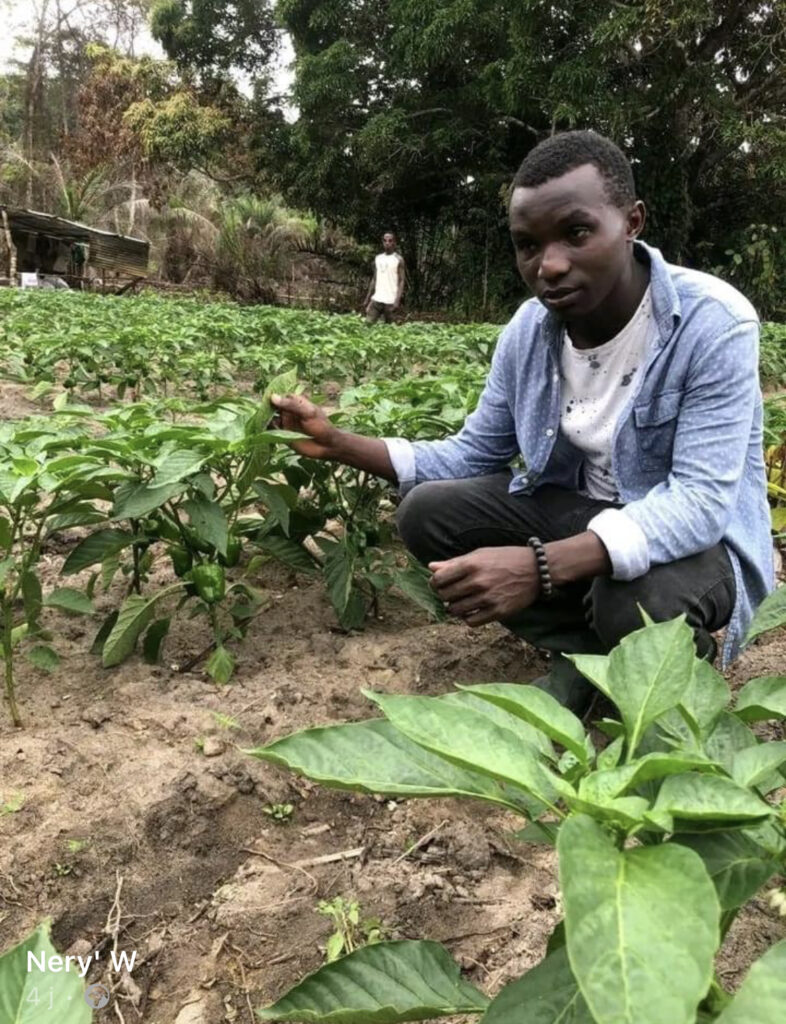 Cultivateur - Bindza Ngoma