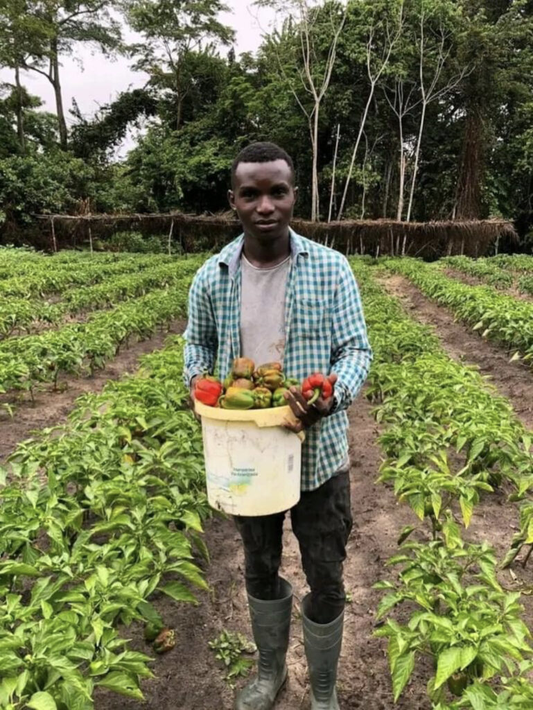 Cultivateur - Bindza Ngoma