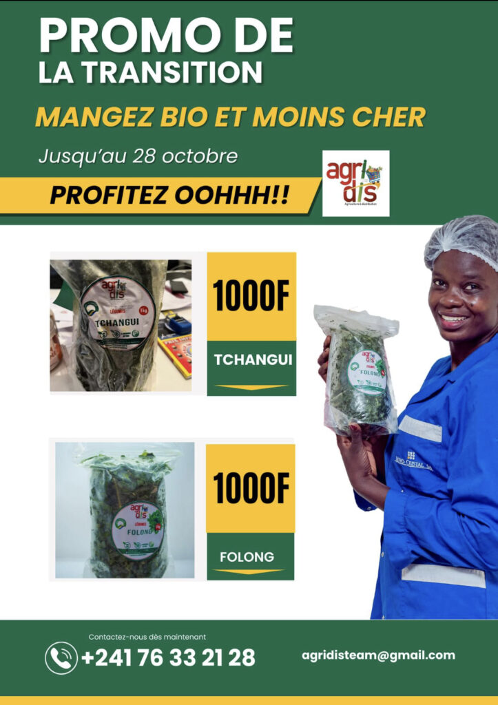 Eco Char Gabon