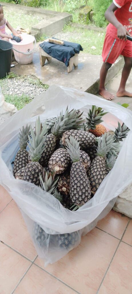 Plateforme des jeunes agriculteurs Gabonais