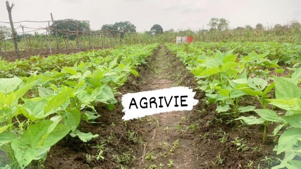 Agrivie