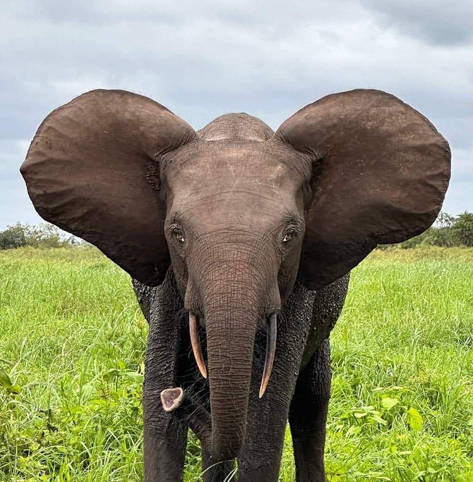 Guide touristique - Nkombe Remy