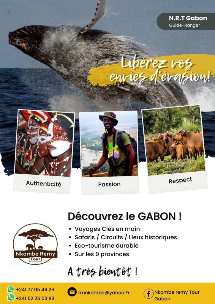Guide touristique - Nkombe Remy
