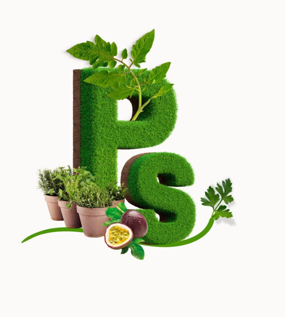 Le Potager du Succès d'Akanda