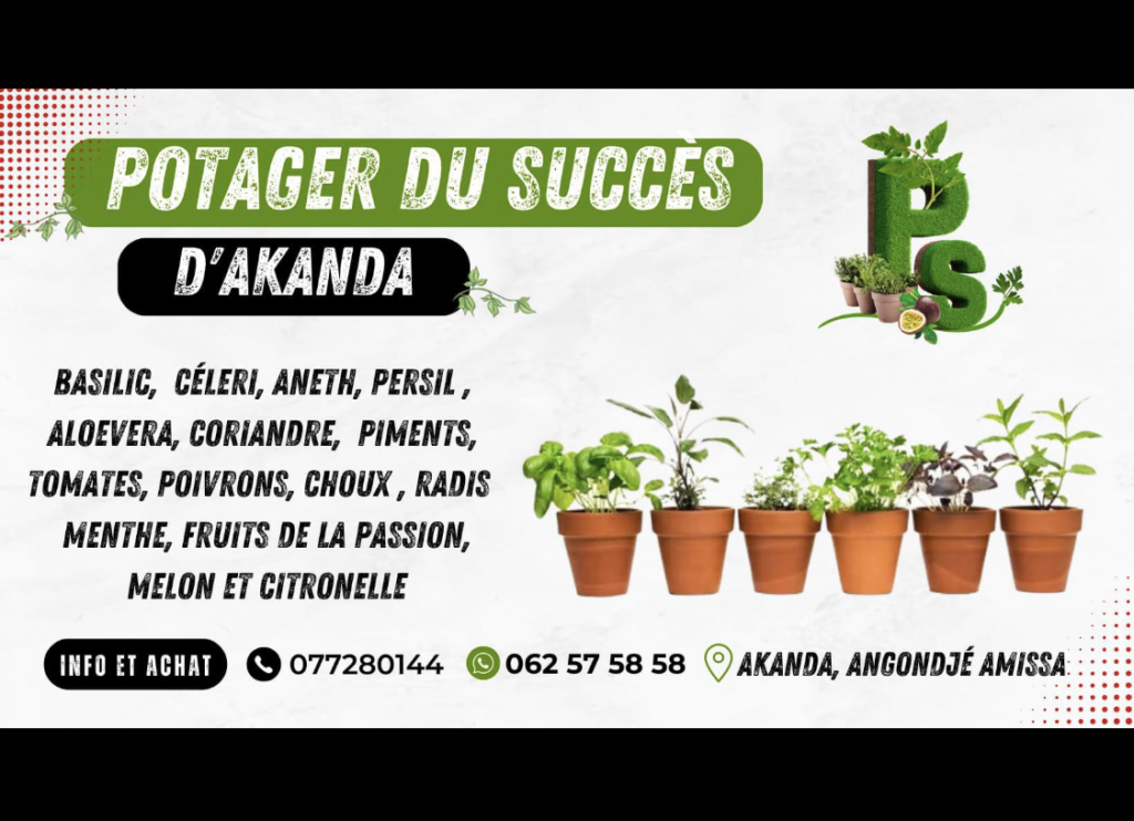 Le Potager du Succès d'Akanda